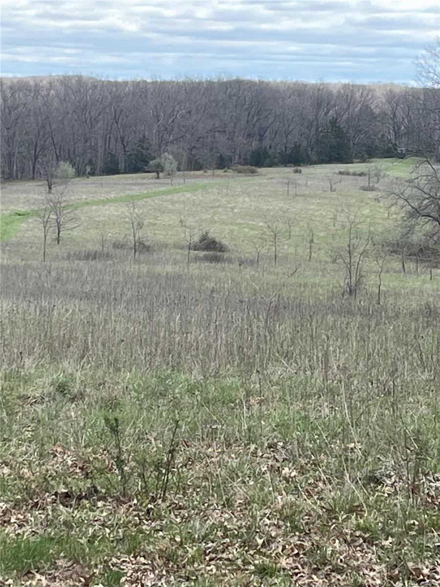 This 188-acre property located west of Montgomery City in Callaway County presents an excellent opportunity for both a farming operation and recreational hunting property. With the Loutre River running through it, two ponds, and both wooded and open areas, this land is prime for hunting, fishing, or trail riding. Having served as a cattle farm in the past, the property holds potential for restoration into a fully functioning agricultural operation. Alternatively, its abundant wildlife signs make it a haven for hunters or outdoor enthusiasts seeking to find that monster whitetail or turkey. The existing house presents possibilities for renovation into a cozy weekend retreat or hunting cabin. This property offers the perfect blend of recreation and leisure, making it perfect for those seeking rural lifestyle or an investment opportunity in Missouri’s beautiful countryside. Located 45 minutes from Columbia and an hour and a half from St. Louis makes for a quick commute to your getaway.