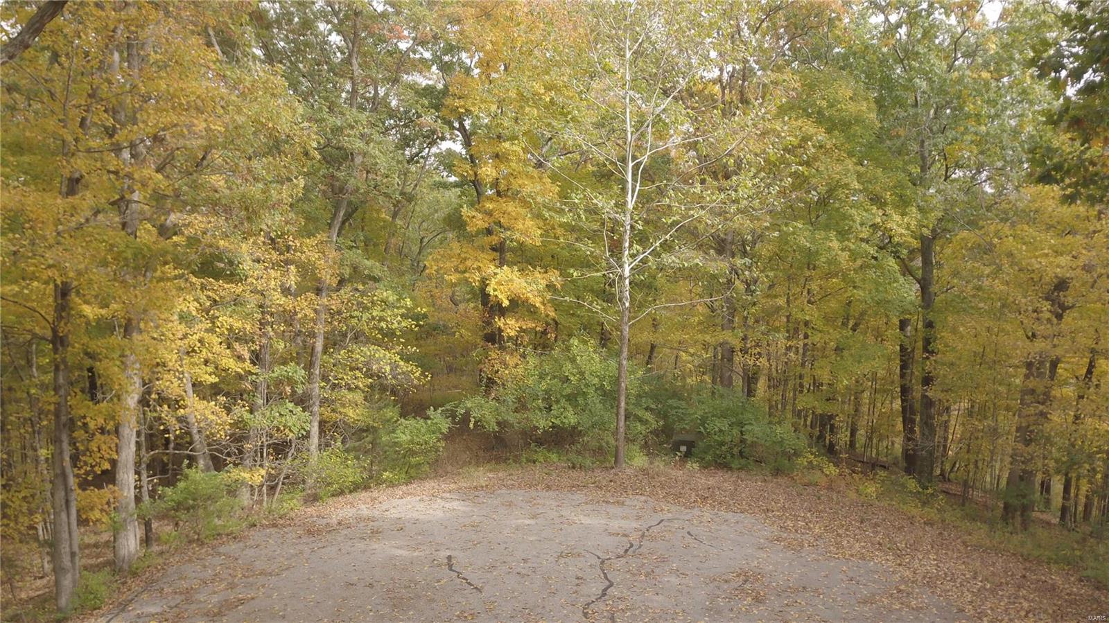 Beautiful wooded lot with 8.32 acres of privacy, sitting on a quiet cul-de-sac. Lot is one of the premiere building locations in the Bluffs at Hoene Springs neighborhood and offers several building sites for your dream home, overlooking the Meramec River. The development includes two private and scenic neighborhood lakes, central sewer, excellent architectural control, great views, well maintained asphalt streets, and underground electrical. Building locations offer a perfect opportunity for a walkout basement. Property is located within Jefferson County for better taxes. Great location just off 109 and highway 44 and easily accessible to nearby shopping and restaurants. Additional Rooms: In Platted Subdv.