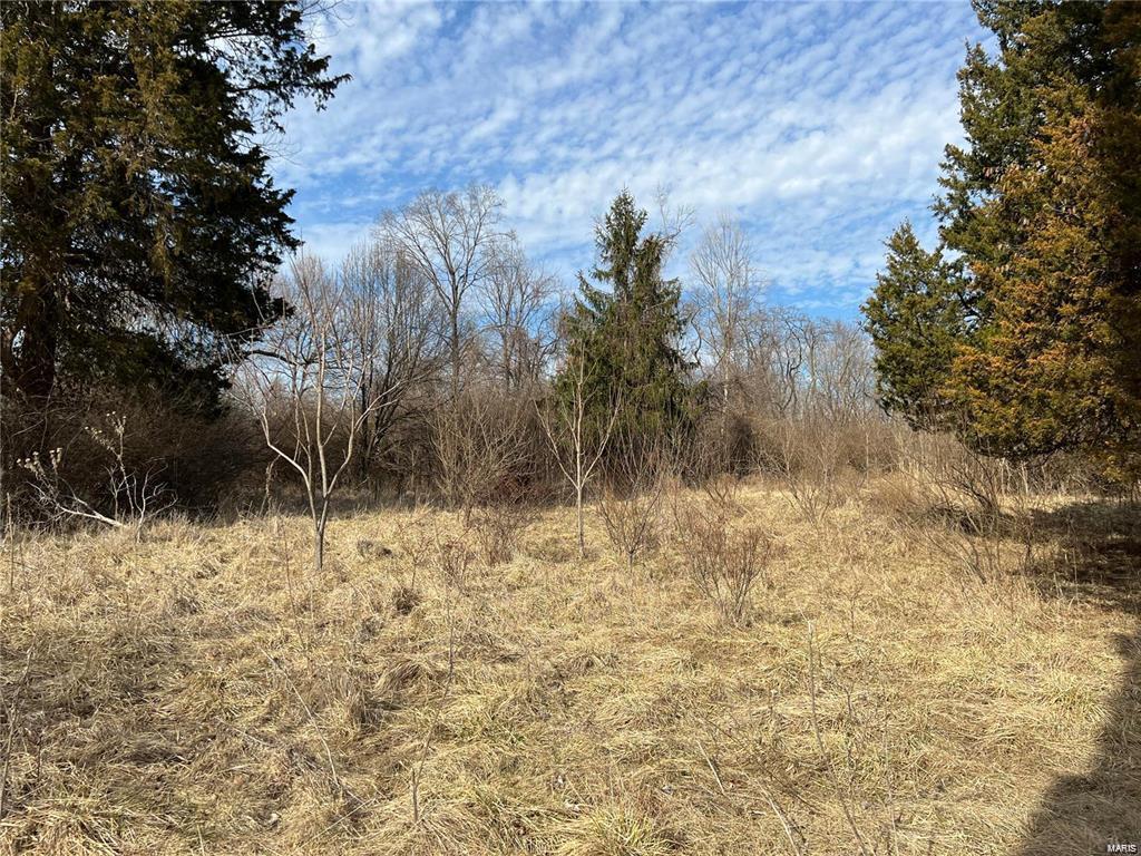 Arnolia Park - Farm