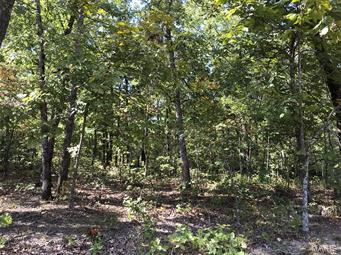 SURVEYED 5.11 ACRES( LOT#6) IN A COUNTRY SETTING  JUST WAITING FOR YOU TO BUILD YOUR DREAM HOME. THIS TRACT ADJOINS LOT #7. MAKE YOUR CLAIM TO THIS PICTURE PERFECT SETTING BEFORE IT IS GONE.