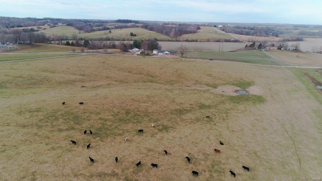 NONE - Farm