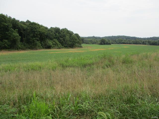 No - Farm