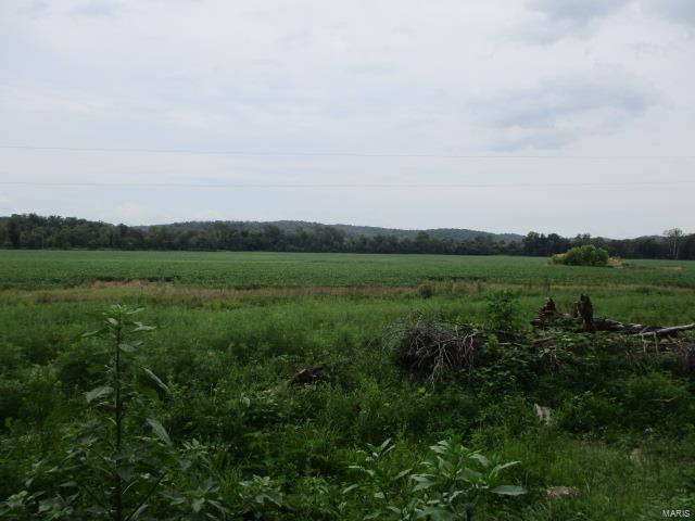 No - Farm