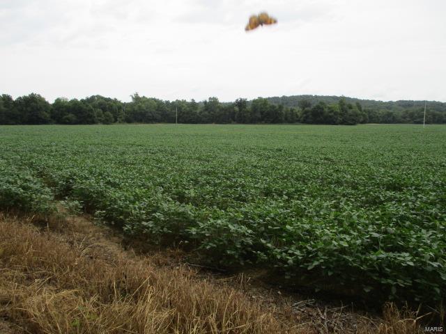 No - Farm