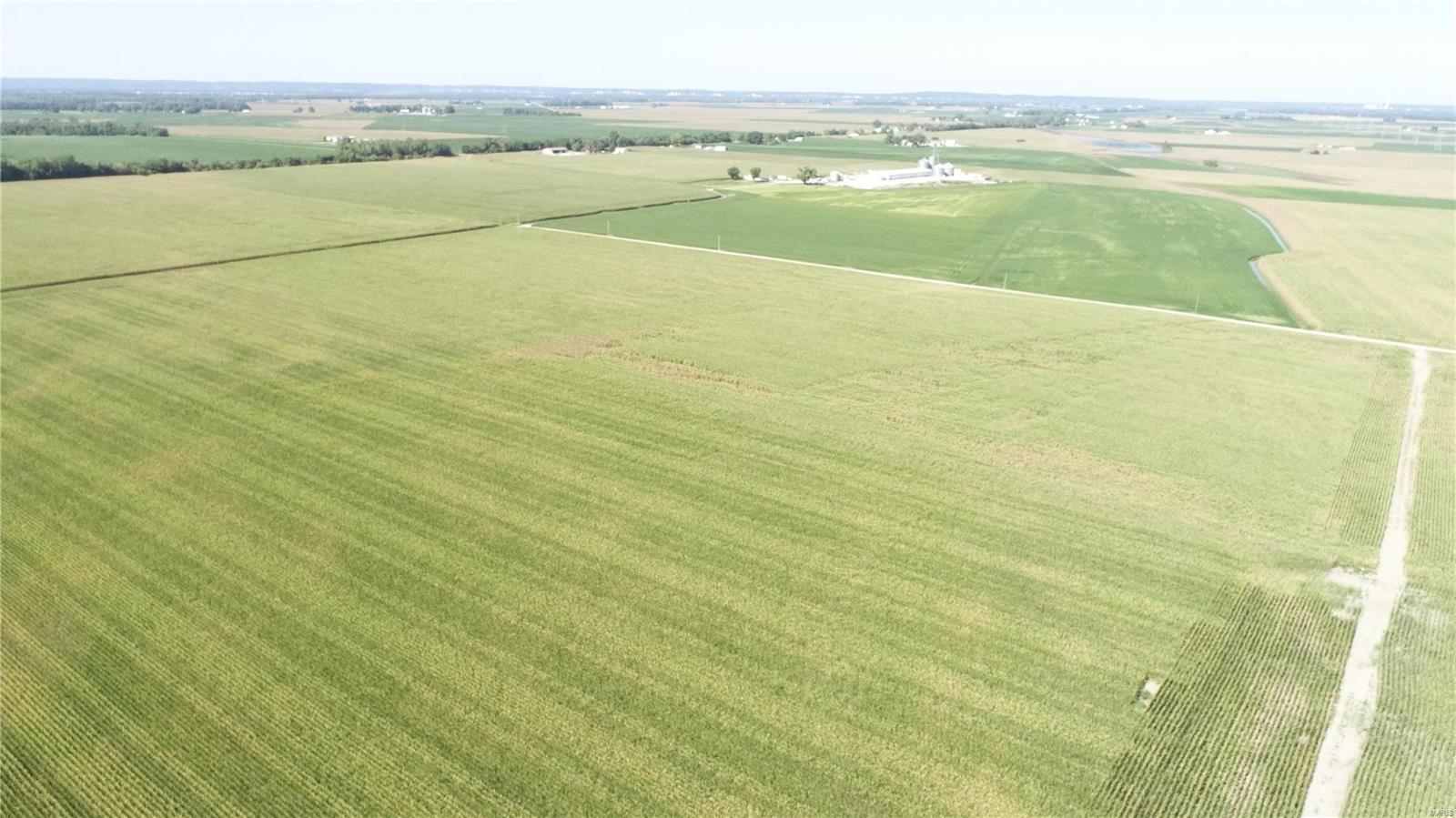 - - Farm