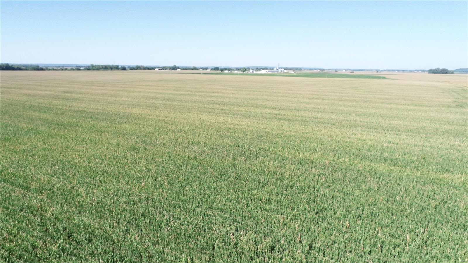 - - Farm