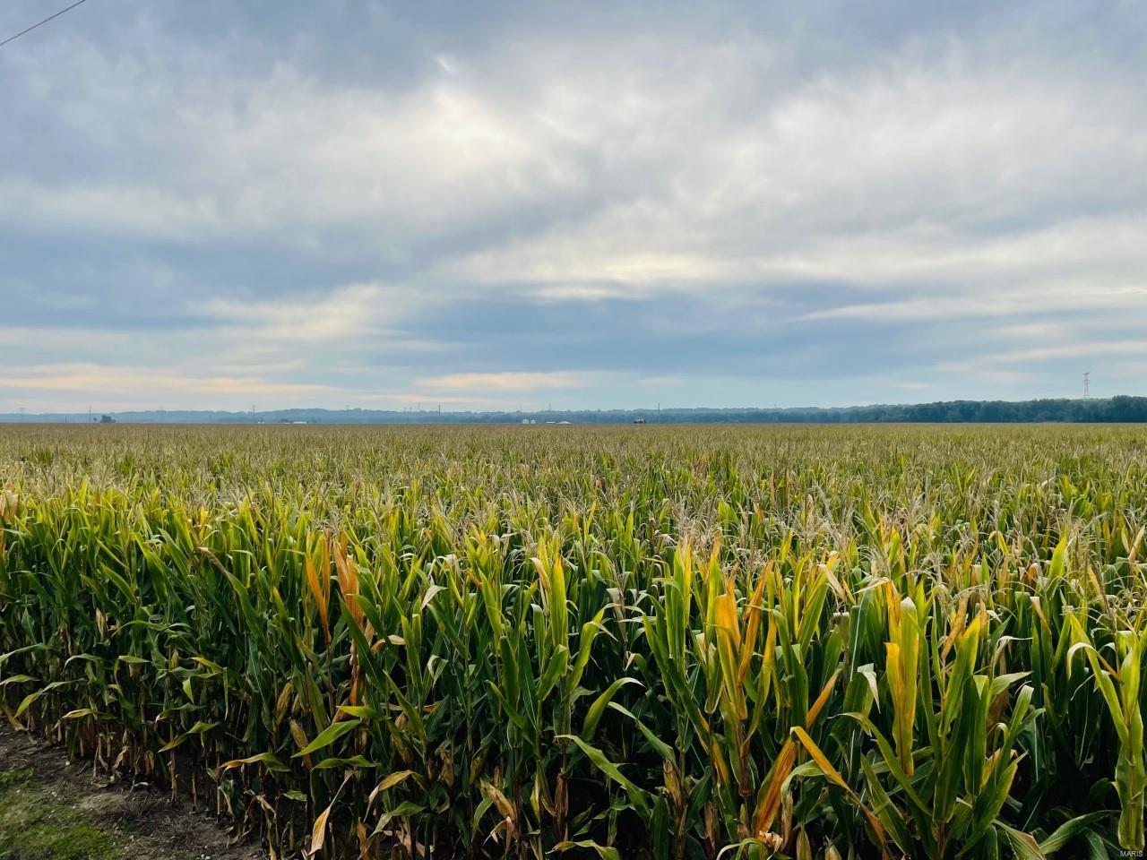 - - Farm