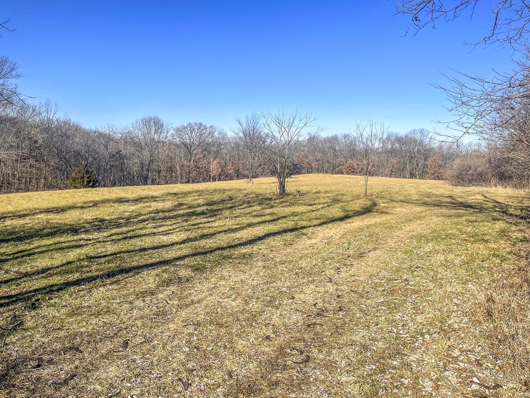 Land for Sale in Lincoln County!! This diverse tract consist of 35+/- acres of pure seclusion offering homesites, hunting and year round recreation for the family. This property is a blank canvas, meaning buyers may build wherever they choose with plenty of space to hunt, pasture horses or cattle, trail ride or just simply enjoy the outdoors. Opportunities are wide open with unimproved tracts which are very hard to find this part of the county. There is one old shed on the property. Property to be sold per surveyed acre with an easement / shared road agreement recorded at closing. Some Restrictions to be Recorded at Closing: No Mobile home or modular homes shall be placed on the tract, No Hogs or hog confinements, No junk yards shall be placed on the tract.