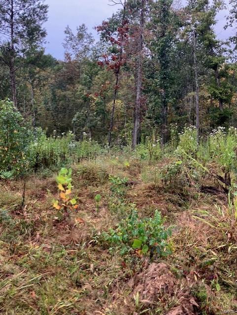 Cherokee Pass - Farm