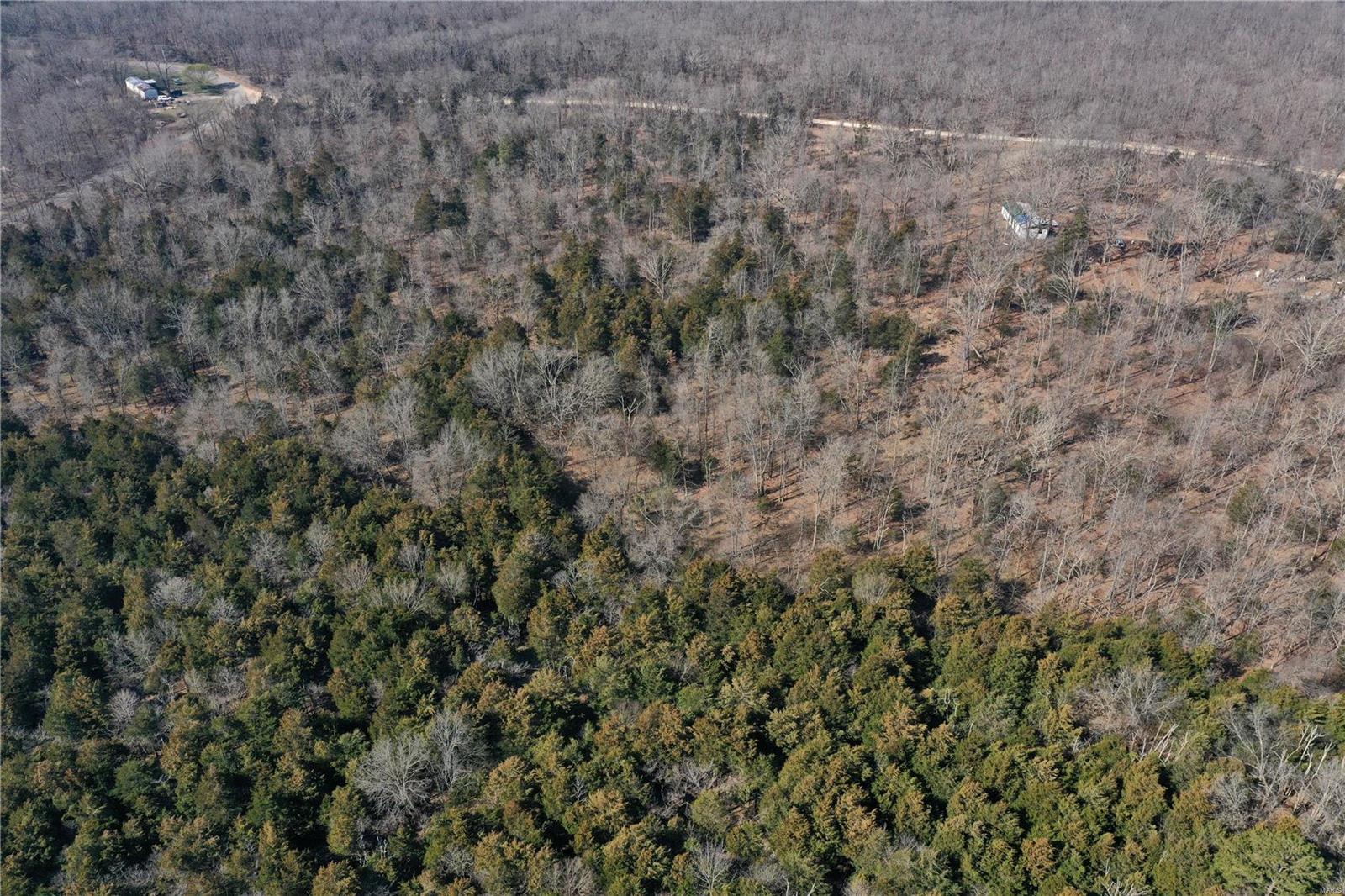 If you have been looking for some recreational property with great access or a place to build, this is it. This 40+/- acres is located just minutes from Potosi and has over 1300ft of road frontage. There is electric on site and well and septic located on the property as well. Come build your dream home or have a great place to park that camper for the weekend. NO RESTRICTIONS!!