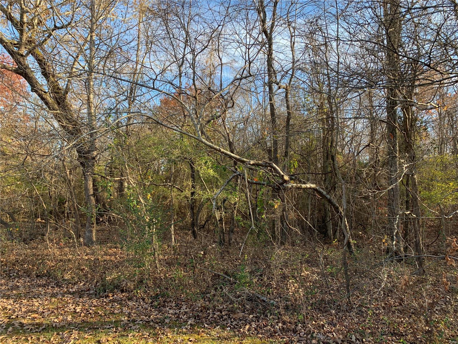 Great small acreage for a new home or mobile home. Listed at $20,000