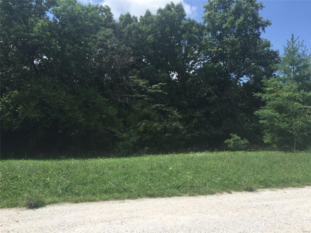 Why buy resale when you can build?  Build your dream home on this 3.41 acre lot!  Cul de sac location, loads of trees and privacy, gentle slope would make a great walk out basement.  Lot is in desirable Lake Forest Subdivision and surrounded by stunning homes.   Subdivision boasts about 75 lots with electric, and community well!   Not too many lots are left so now's the time to buy!  Desirable Troy school district.  Come check it out!