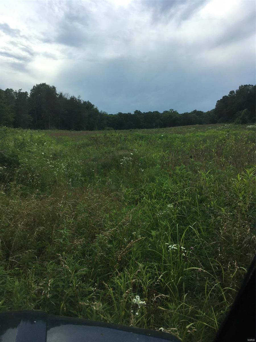 Deer and turkey and small game abound on this 103 acres of mixed woods and fields. There is a spring-fed creek along one border, and another spring originating in a field. Some of the fields have been leased in the past for crops. There are elevated deer blinds already in place on the field edges. You'll have good access along the perimeter of the property. Less than an hour from St. Louis and you can be in your own hunting and remote camping or living oasis. The road leading from the state highway to the property is maintained. Use it for relaxation, hunting or rural living or farming. The possibilities are endless.