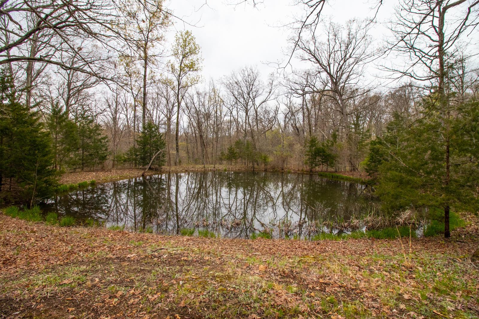 Enjoy your summer to the fullest by fishing in the pond, playing in the creek, hiking or riding your ATV's on the trails or hunting wildlife on your very own 15.8 +/- wooded acres. Build your dream home nestled in the soaring hardwoods with breathtaking views,    This property has endless possibilities!!!
