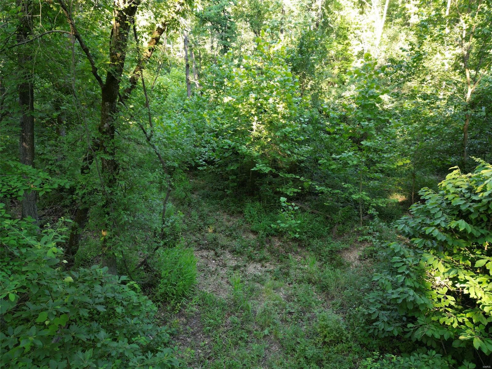 Parkwood - Farm