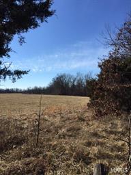 Very nice 38 acres within 1/10 mile of blacktop. Some cleared land some trees. Land sits adjacent to a 1600 acre private hunting refuge. Has 660 ft road frontage. This would be a fantastic property for a home or great for a hobby farm or just a weedend get away.It has a year round pond and a drainage creek bed. Parcels of land like this are hard to find especially where this one sits don't let this one get away to.