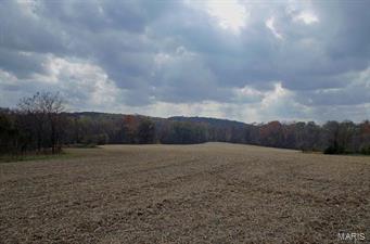 216 Acres “Elsberry”, Lincoln County, MO.  Located South of Elsberry, MO on Barrett Road lies this 216 acre combination farm.  The farm features 131 acres of timber & scattered woods, 70 acres tillable creek bottom, and 15 acres pasture.  A two-story vintage farmhouse sits stately on top of the ridge overlooking the property along with a Machine Shed and outbuildings.  Sugar Creek meanders through the center of the farm with stone bottom draws off the bluff creating natural pathways for that Trophy Buck or Big Tom Turkey.  Also, there is a cedar meadow and a number of water holes on the property for wildlife.  This combination property with income has it all for the avid sportsman, nature enthusiast, permanent residence or weekend getaway.  Only 45 minutes from the St. Louis Metropolitan area. $1,134,000/$5,250 per acre