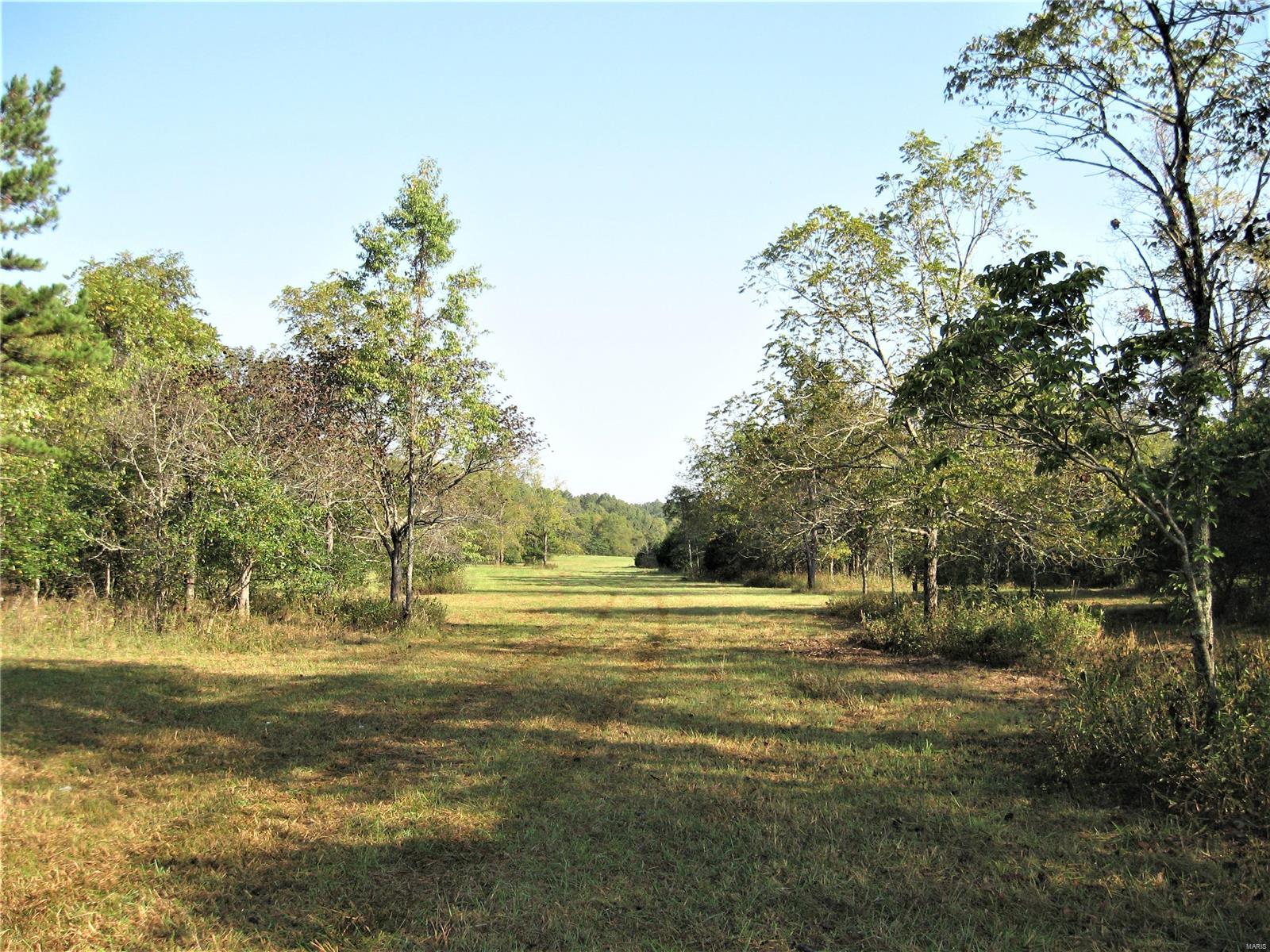 Rural - Farm
