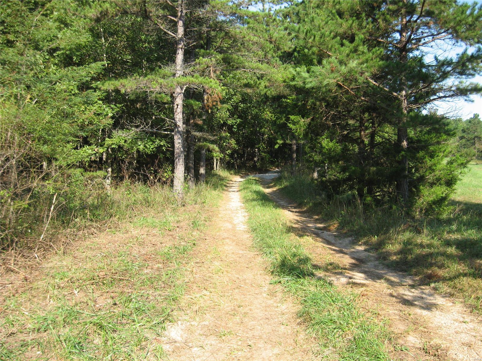 Rural - Farm
