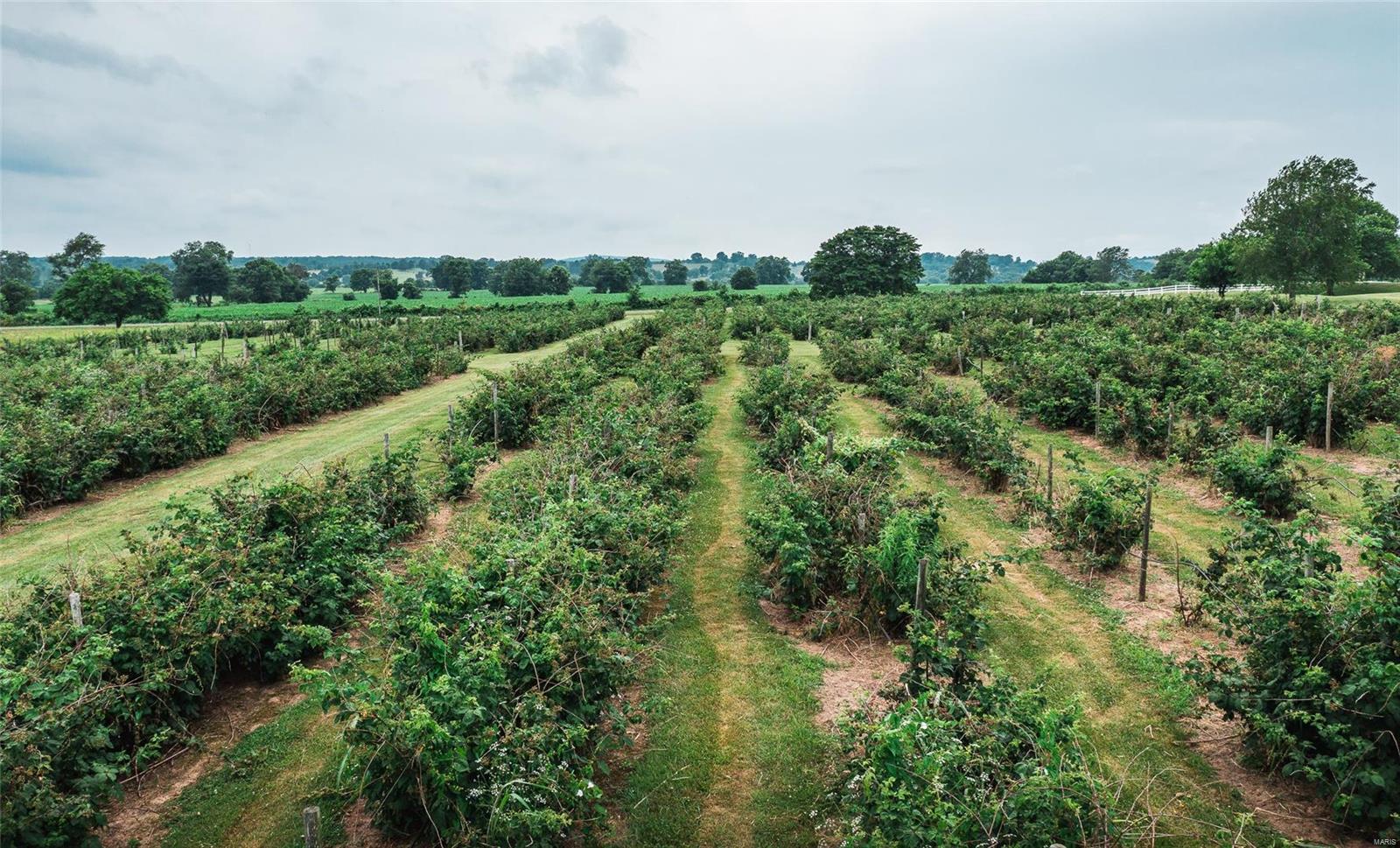 N/A - Farm