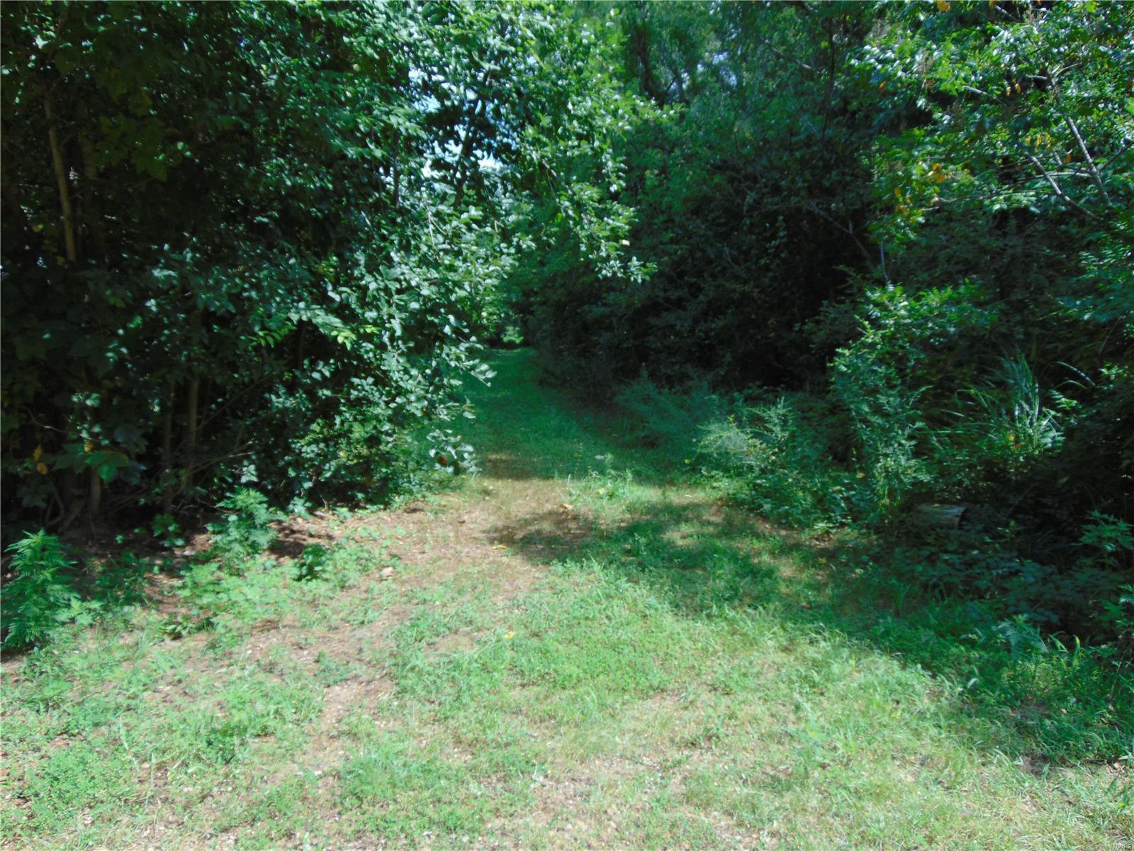 Looking to hide? Here you go! These two lots (approximately 2.36 acres) are just a few minutes south of Doniphan and IN THE WOODS. A private lane takes you back to them with only a few hundred feet of unpaved road back to them. They sit high above the flood line, but include deeded easement to Big Island on the beautiful Current River. Access to the river is on foot or ATV. There is no navigable road at this time. There is a well and electric on the property so you can escape into the woods with an RV, camper, or build your dream cabin. It would be difficult to find a more secluded spot so close to civilization without buying hundreds of acres. Additional Rooms: Other