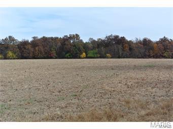 Gorgeous Property!! Easement access not yet developed.  Open, level field bordered by tree line and backing to easy rolling woods with trails from horse riding. Lane of pasture. Check with the county on subdivision possibilities.  Close to state roads for commute yet tucked away off roads for privacy. Priced at $10,000 per acre mol - now is the time to buy!