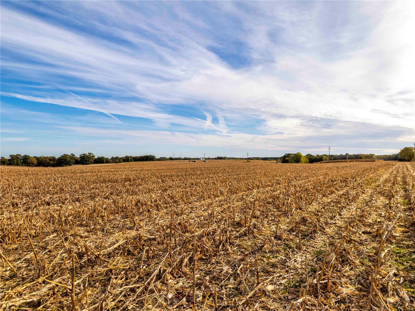 N/A - Farm
