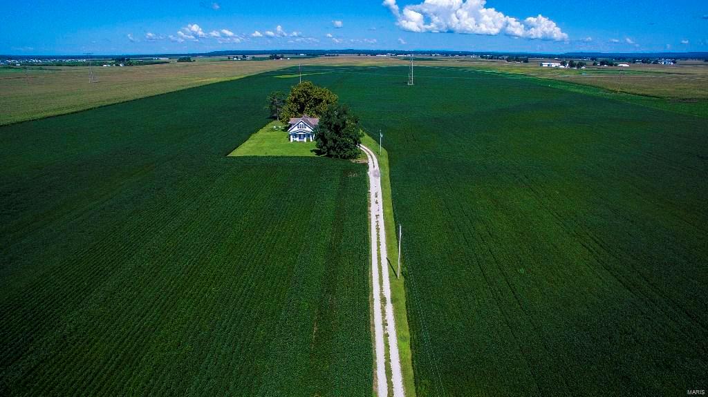 None - Farm