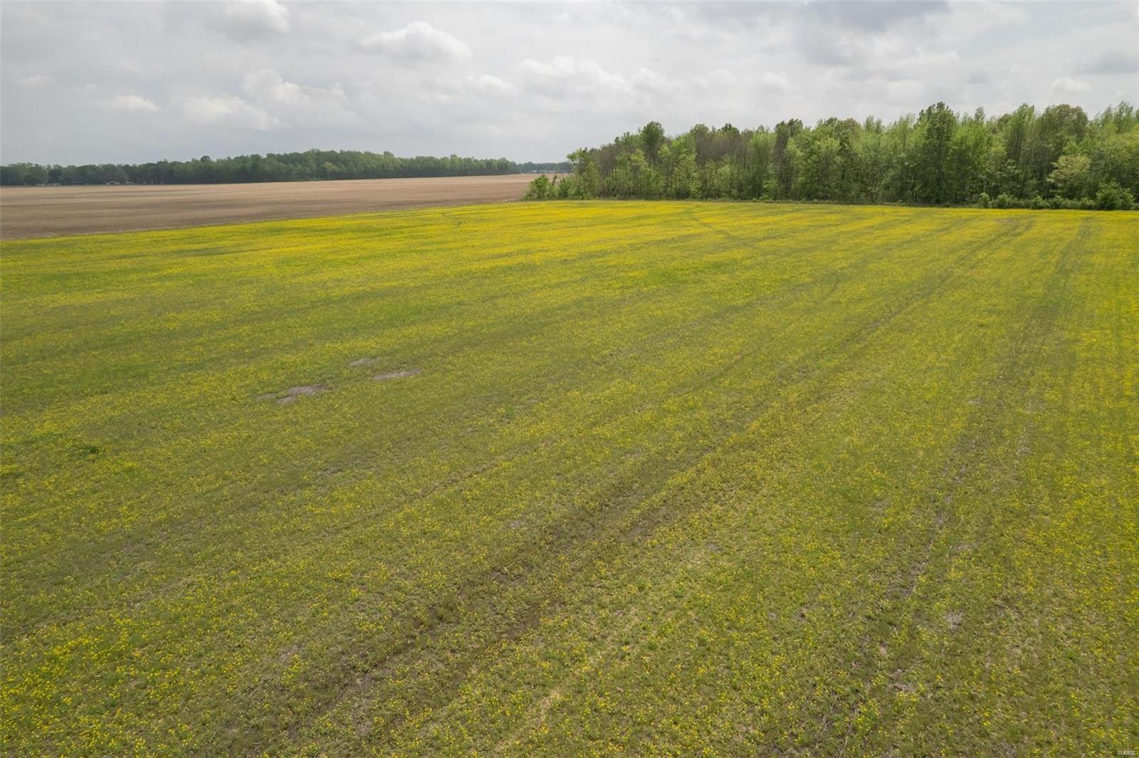 This 14 acres M/L of row crop land is currently leased to a local farmer who is growing soy beans on it.  This acreage has been recently surveyed.  This productive farm ground is priced considerably lower per acre than other farm properties nearby.  This would be a great place to build a house or multiple homes.  Make your appointment to look at this tract of land today.