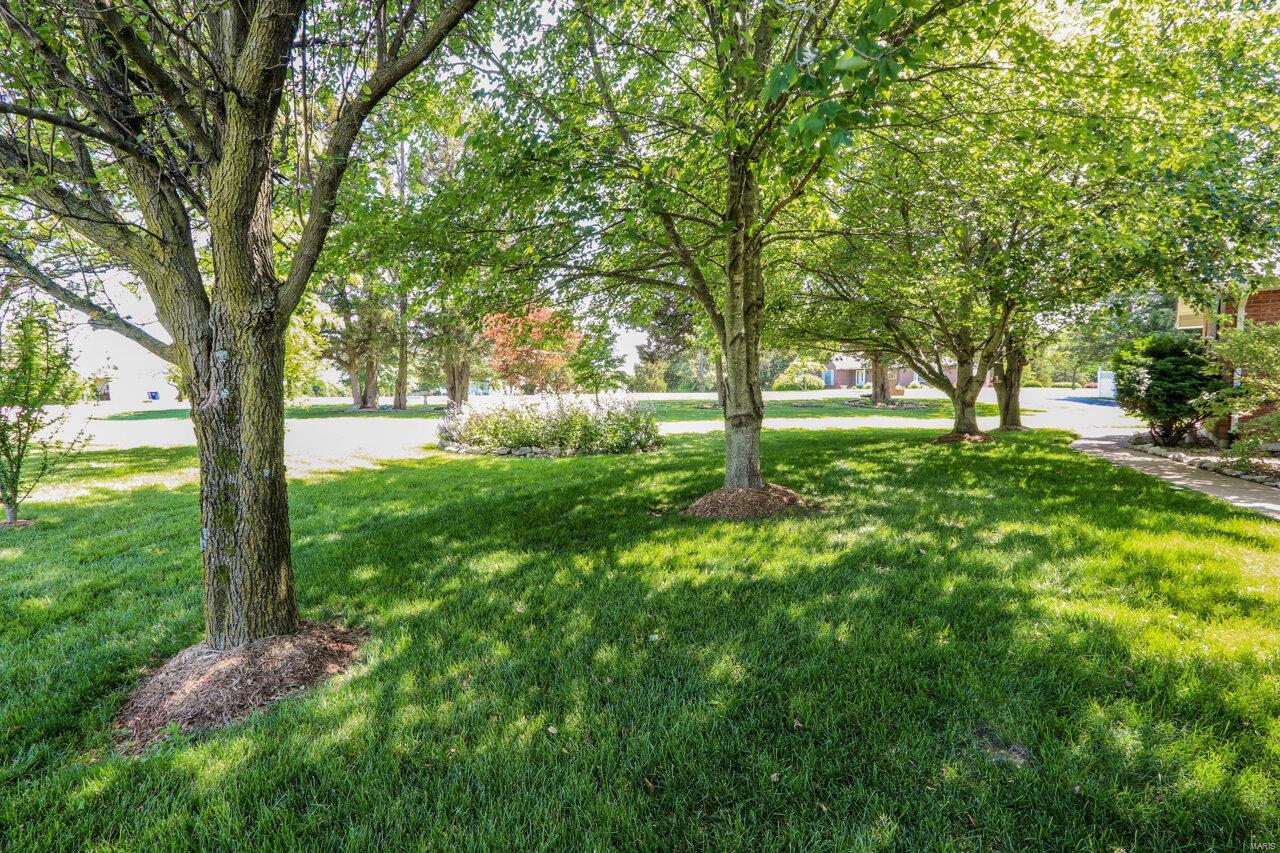 Country Pointe Estate - Residential
