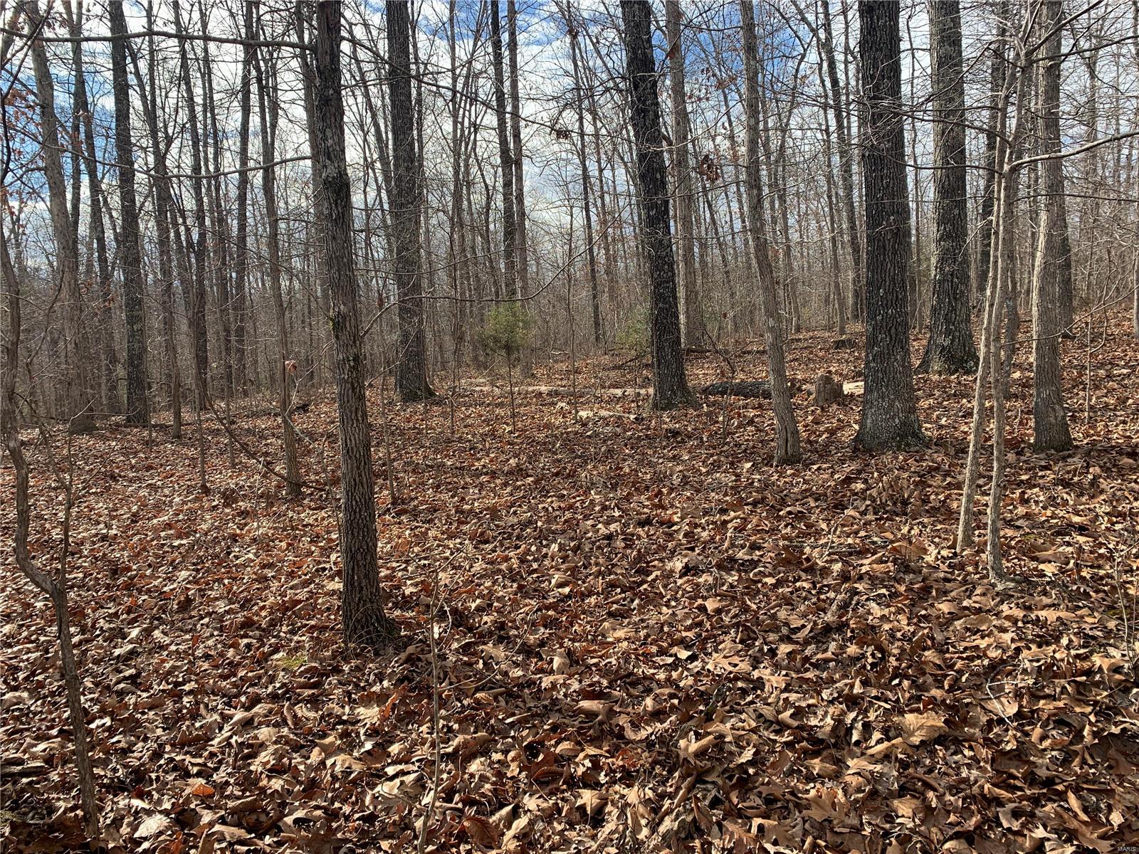 This nice 80 acres of mature hardwood and is an excellent hunting area or recreational area. Located in the gently rolling hills of the Ozarks this property has a beautiful wet weather creek that runs most of the year. It has an easement at the end of a county road so its very private. If you are looking for quiet seclusion then look no farther!
