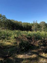 Riverwoods Estates - Land