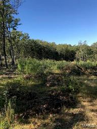 Riverwoods Estates - Land