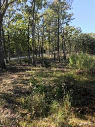Riverwoods Estates - Land