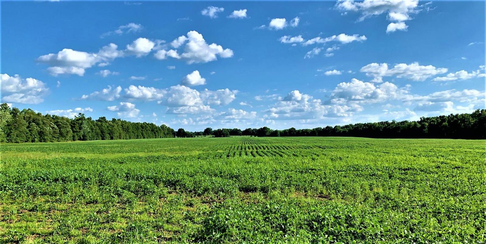 N/A - Farm