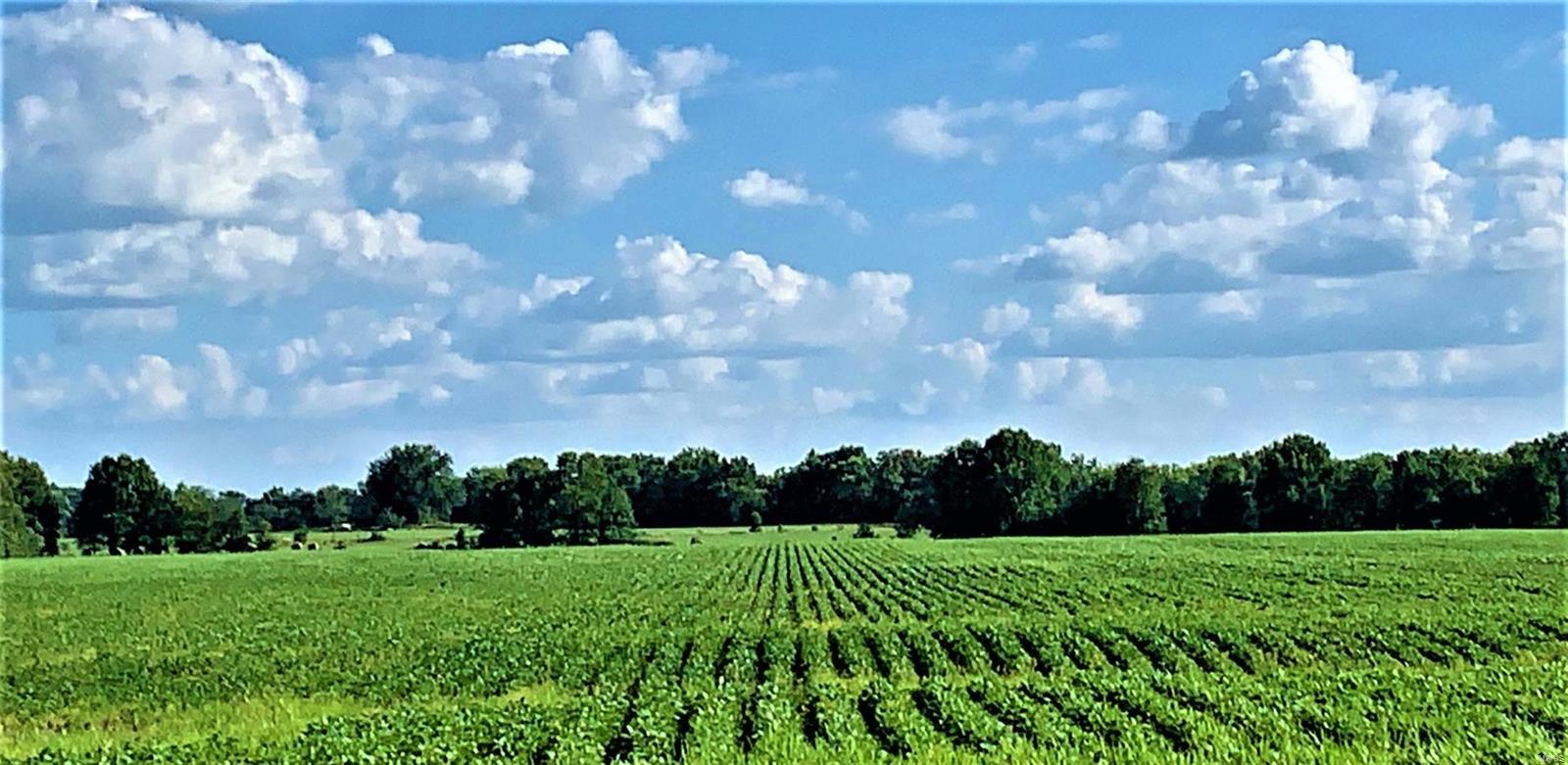 N/A - Farm