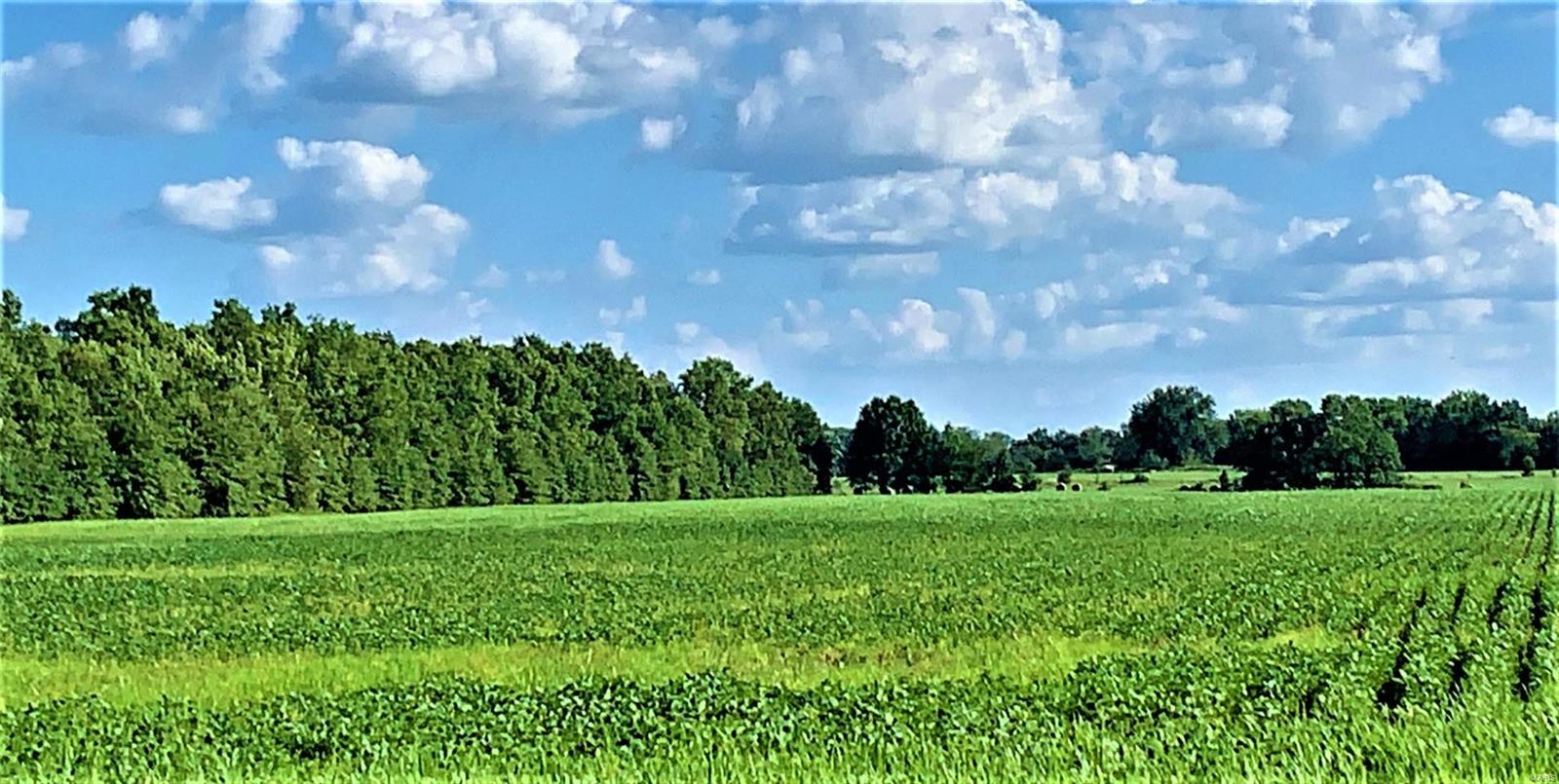 N/A - Farm