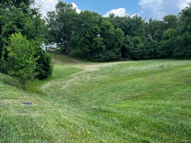 This lot is being sold as an amenity lot and will have a deed restriction on it stating it is never to be built on. It is on the backside of a dam & collects excessive water during storms. As the owner of an amenity lot it is your responsibility to keep it mowed at a normal yard height. Amenity lot owners have the privilege of using the Incline Village amenities which include: Several lakes with the largest lake being approx 220 acres and is used for skiing, tubing & fishing; community pool; clubhouse; a beach with party pavilion; tennis & pickleball courts; playgrounds; basketball; volleyball; horseshoe pits plus activities like Band on the Beach, Bingo, Golf Cart Parades & more! For rules & regs, boating info, etc go to: www.inclinevillage.info