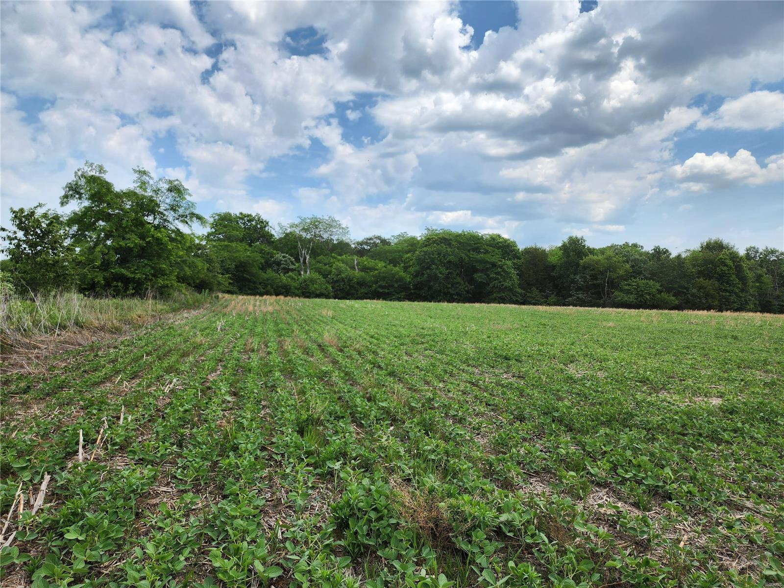 N/a - Farm