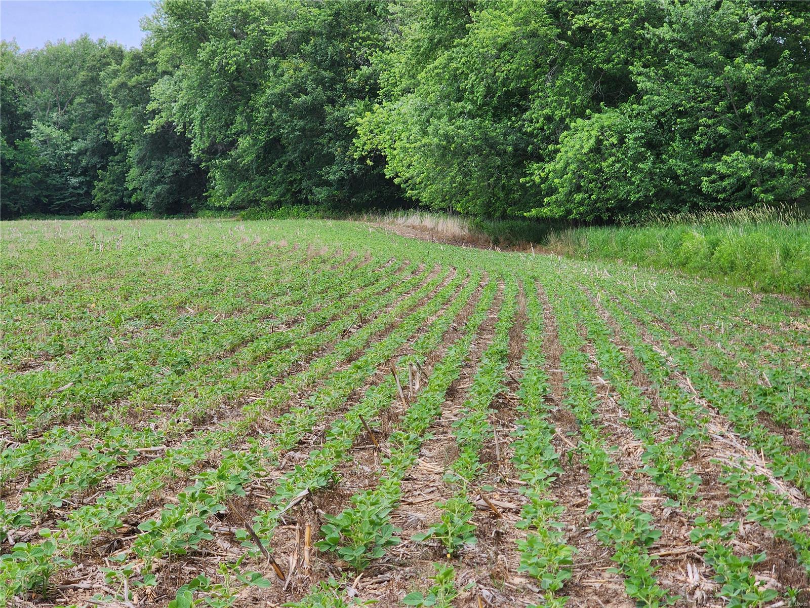 N/a - Farm