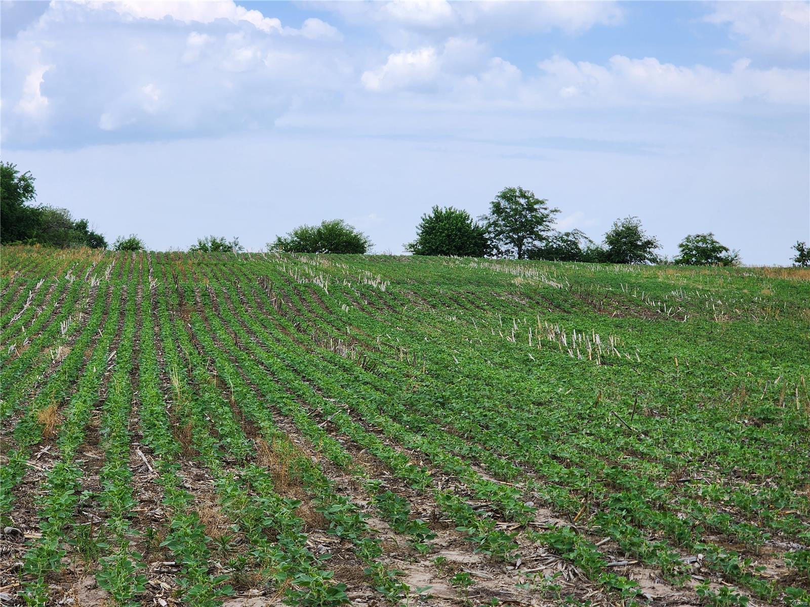 N/a - Farm
