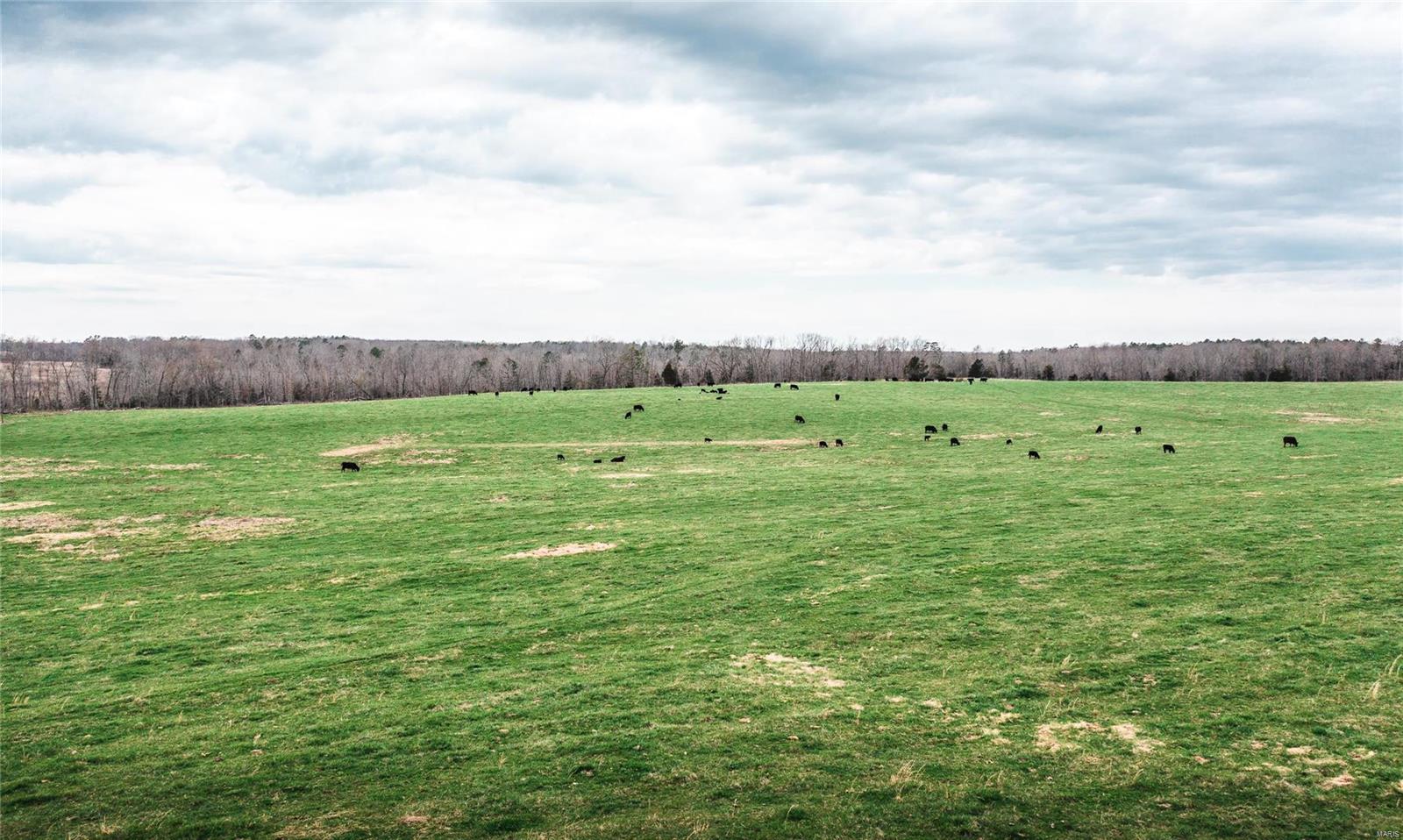 If you are looking for a ready to go pasture farm the search is over! This farm has grass everywhere, limed fertilized and up to soil test. New steel corner, steel post, barbed wire, fenced and cross fenced for rotational grazing, automatic waterers, a new steel welded set of working corrals, and a well maintained old barn. You wouldn't find a prettier place that is ready for your cattle or horses. Located with both the State Highway and County Road frontage, public water and sewer available. This would be the perfect place to build your dream home. There is a year around creek that runs through the corner of the property. The property is filled with tons of wildlife, deer and turkey that you can see daily in the fields. There is just enough woods on the property for great habitat as well as plenty of hunting all at home. Come take a look, you wont regret it!