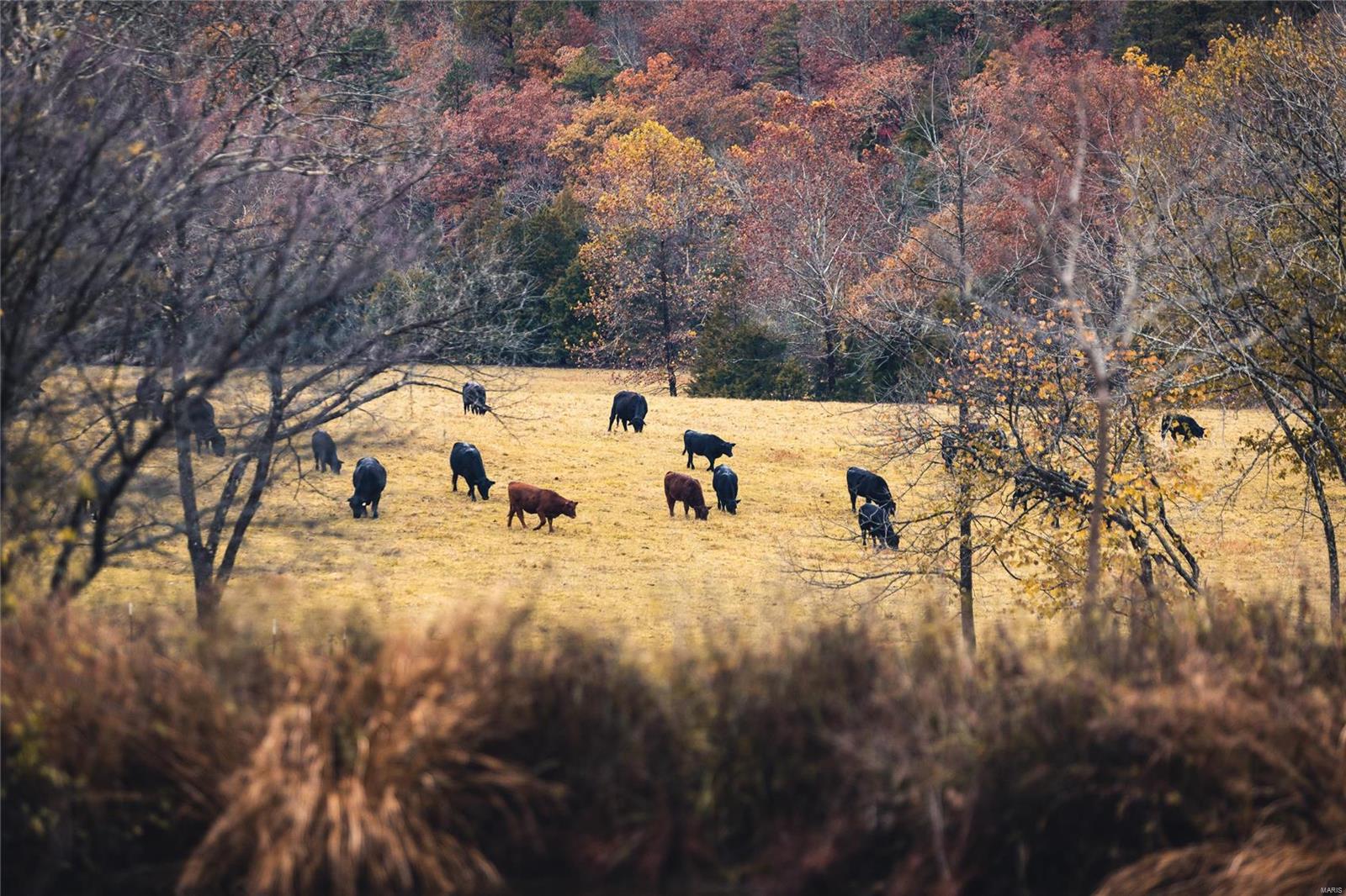N/A - Farm