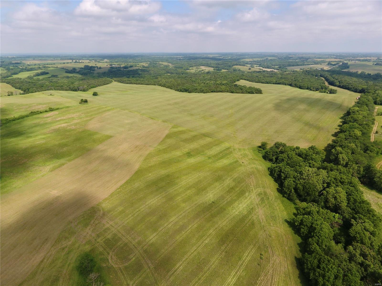 Cainsville - Farm