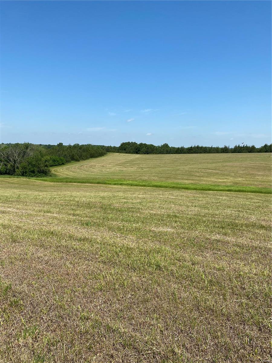 Cainsville - Farm