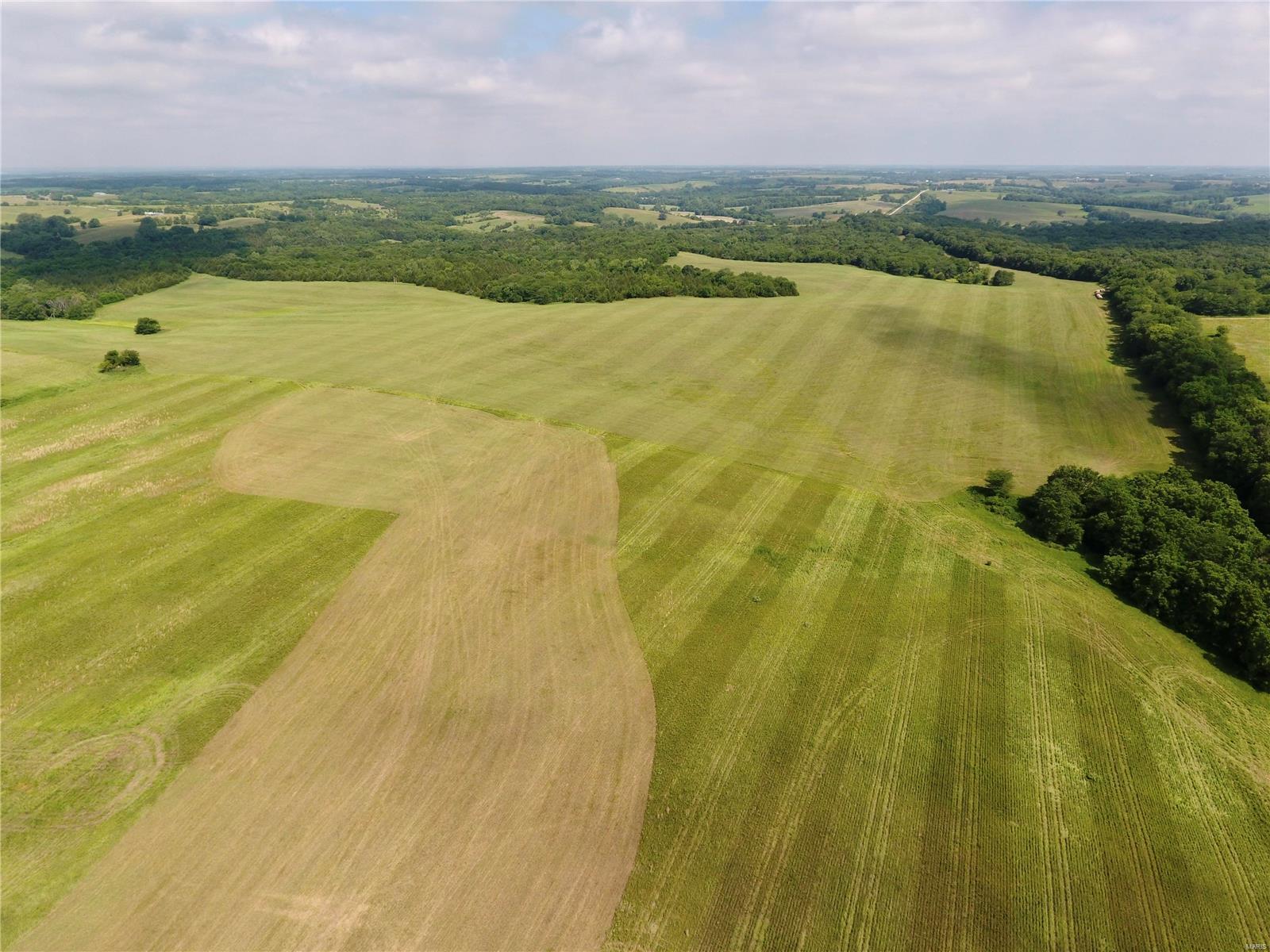Cainsville - Farm
