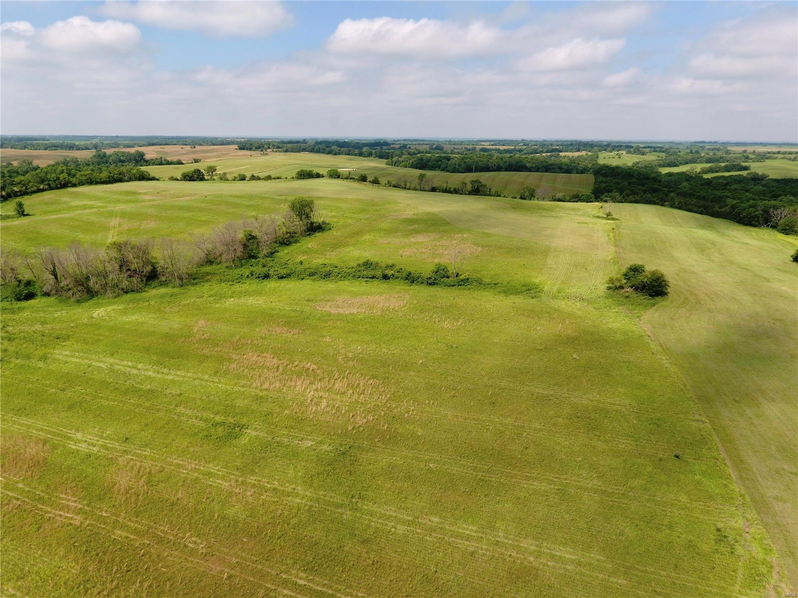 Cainsville - Farm
