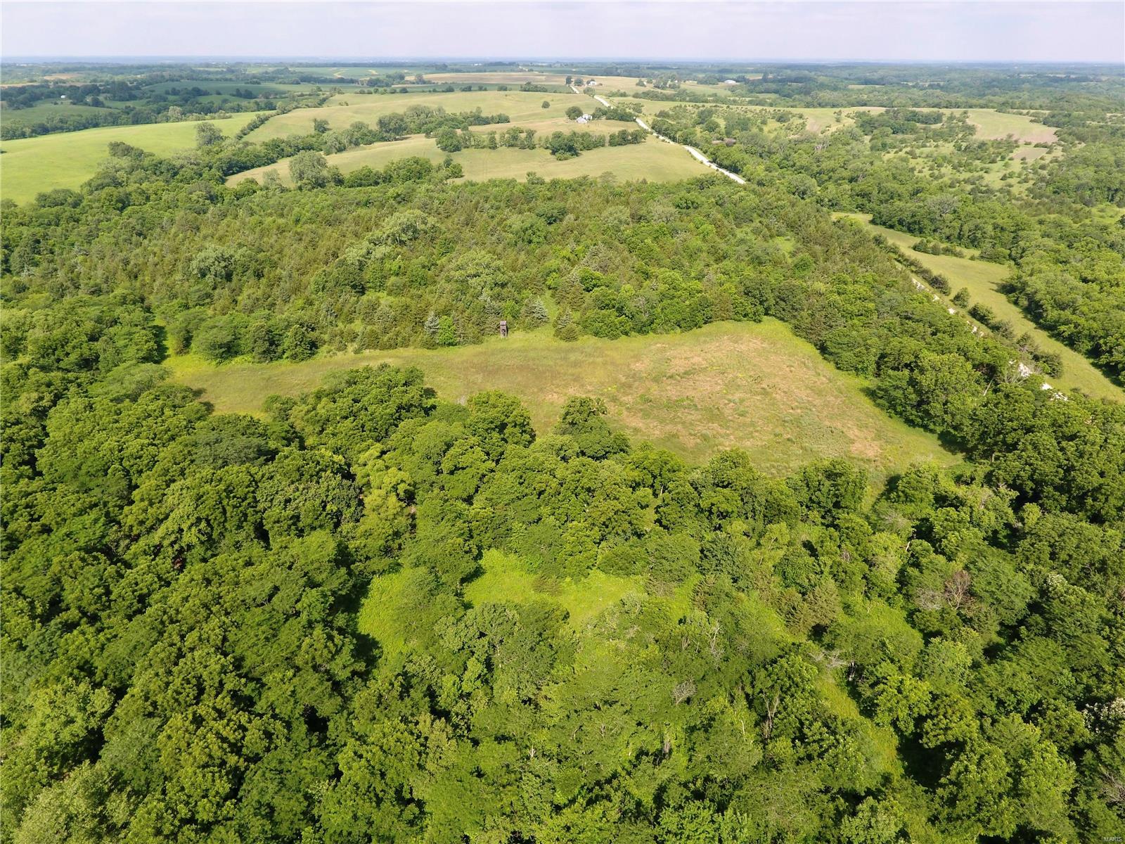 Cainsville - Farm