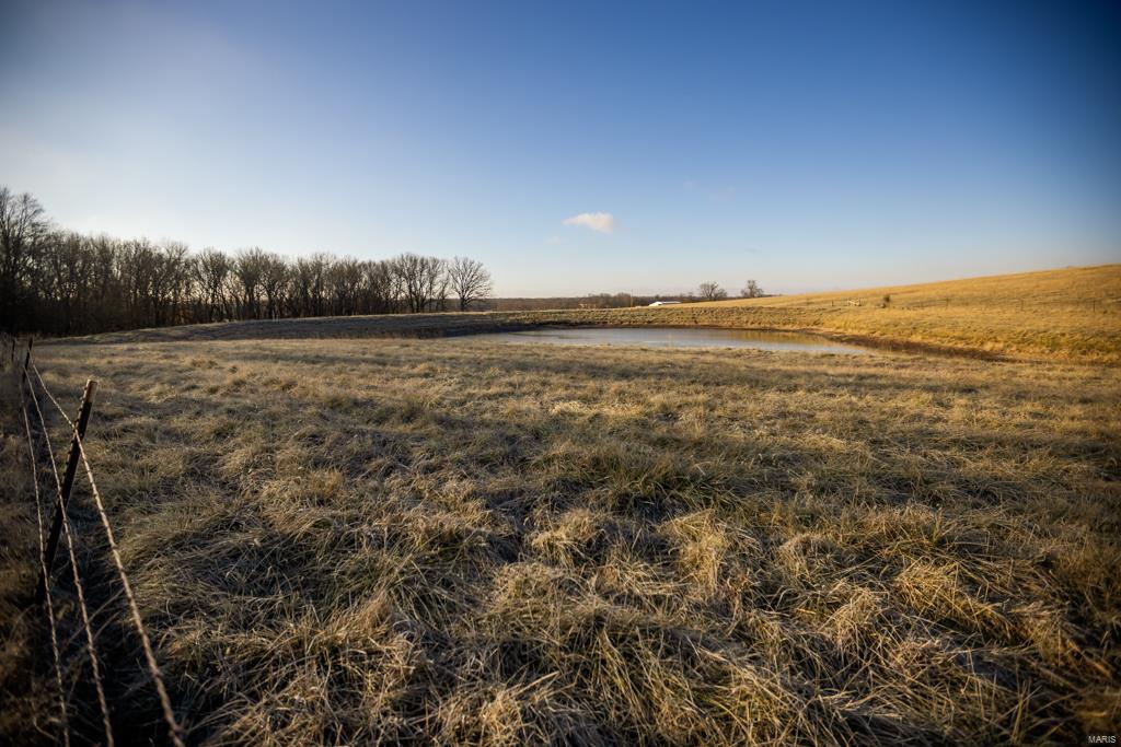 no - Farm