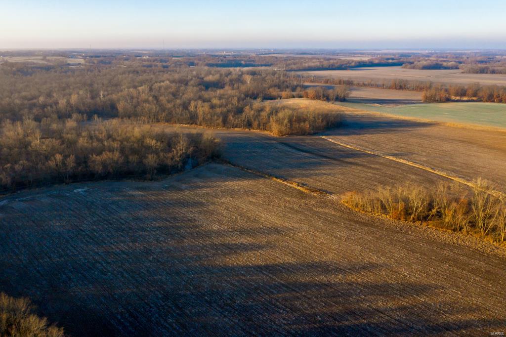 no - Farm